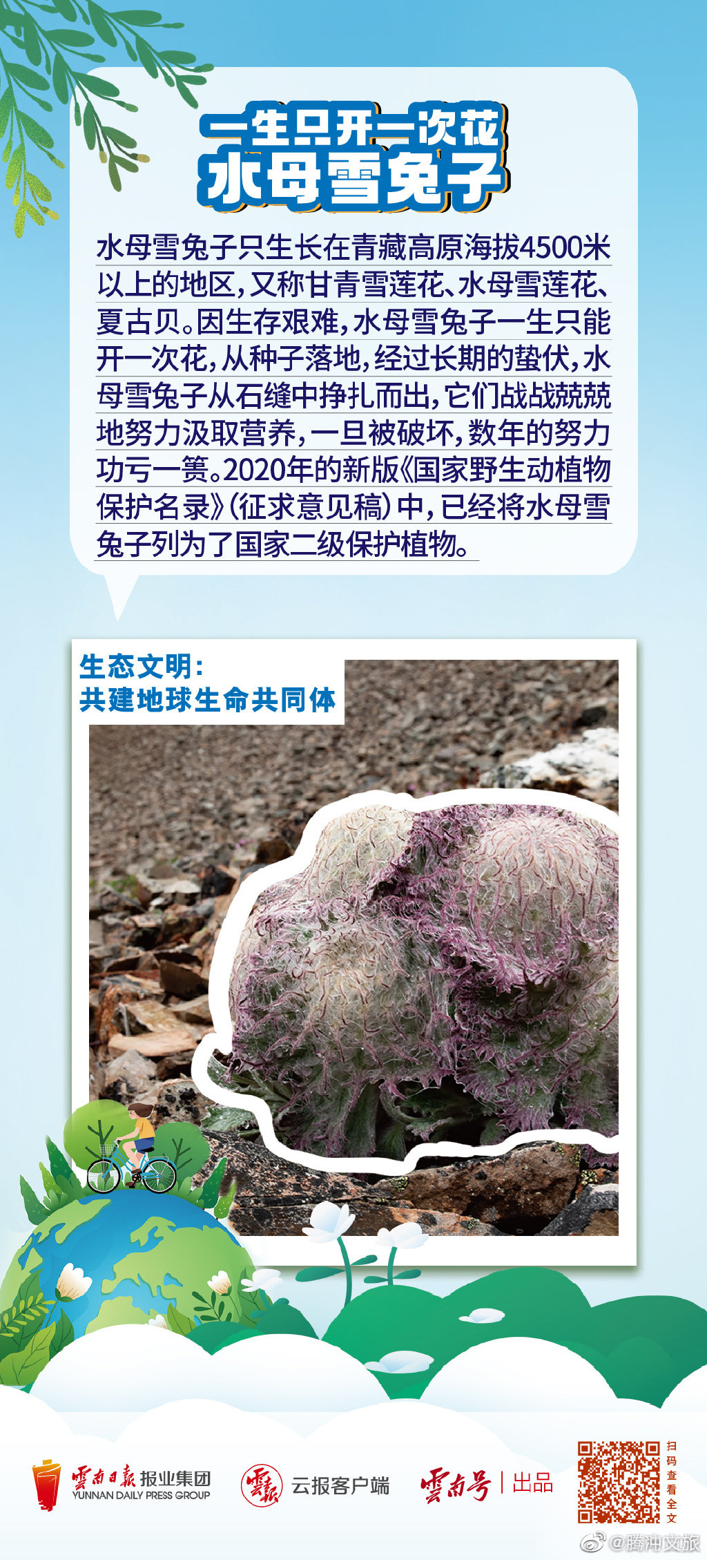 腾冲文旅微博