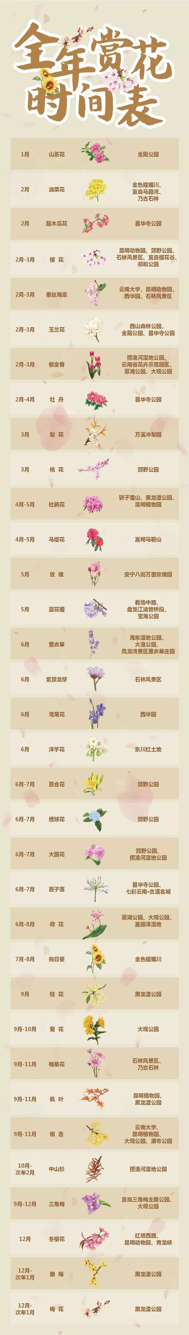 昆明信息港/cnkmxxg