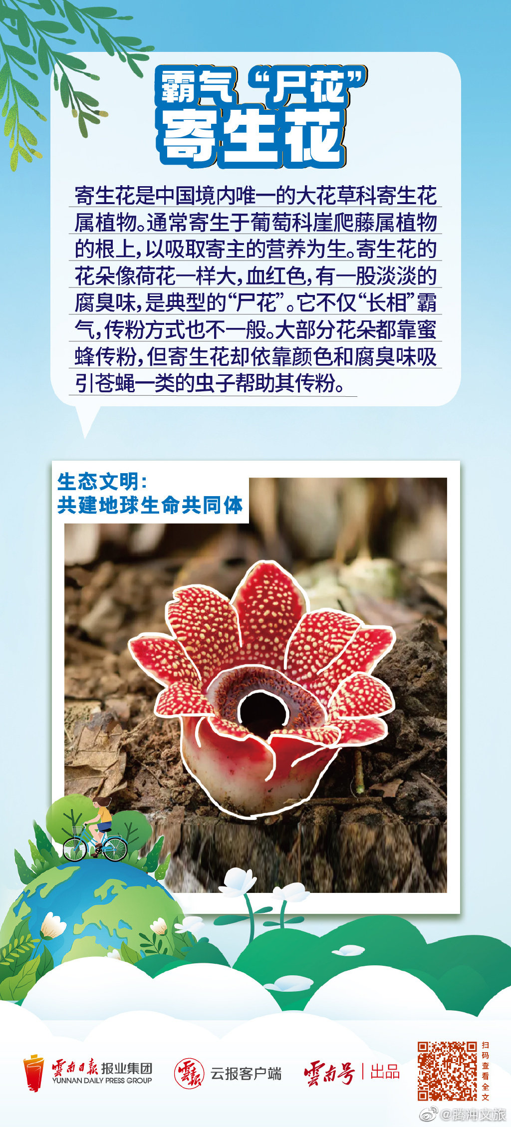 腾冲文旅微博