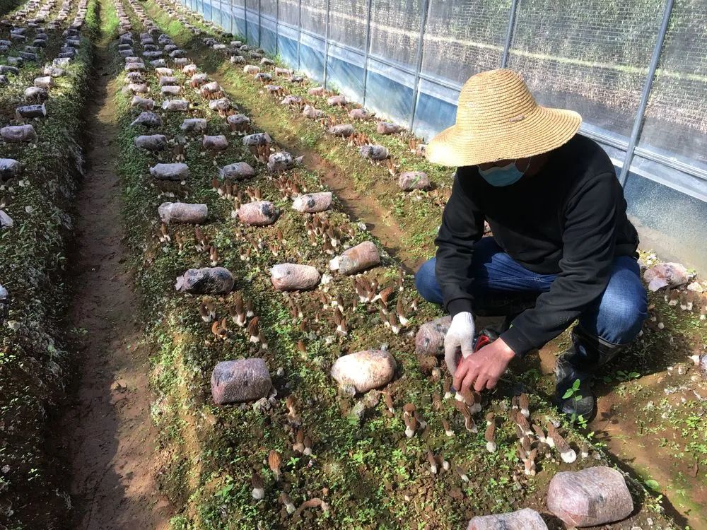 玉溪发布