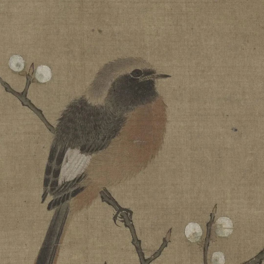 昆明公共文化云