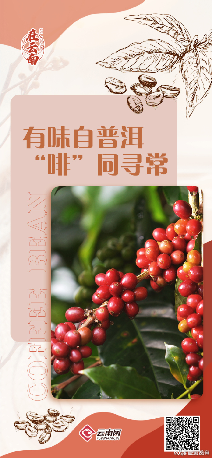 呈贡发布