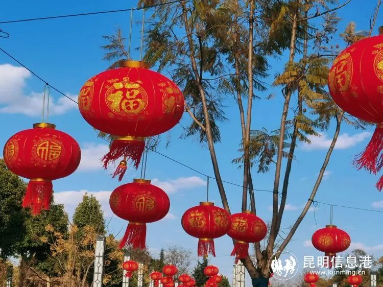 呈贡发布