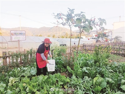 昌宁鸡飞镇：为民打造“五微”暖心事