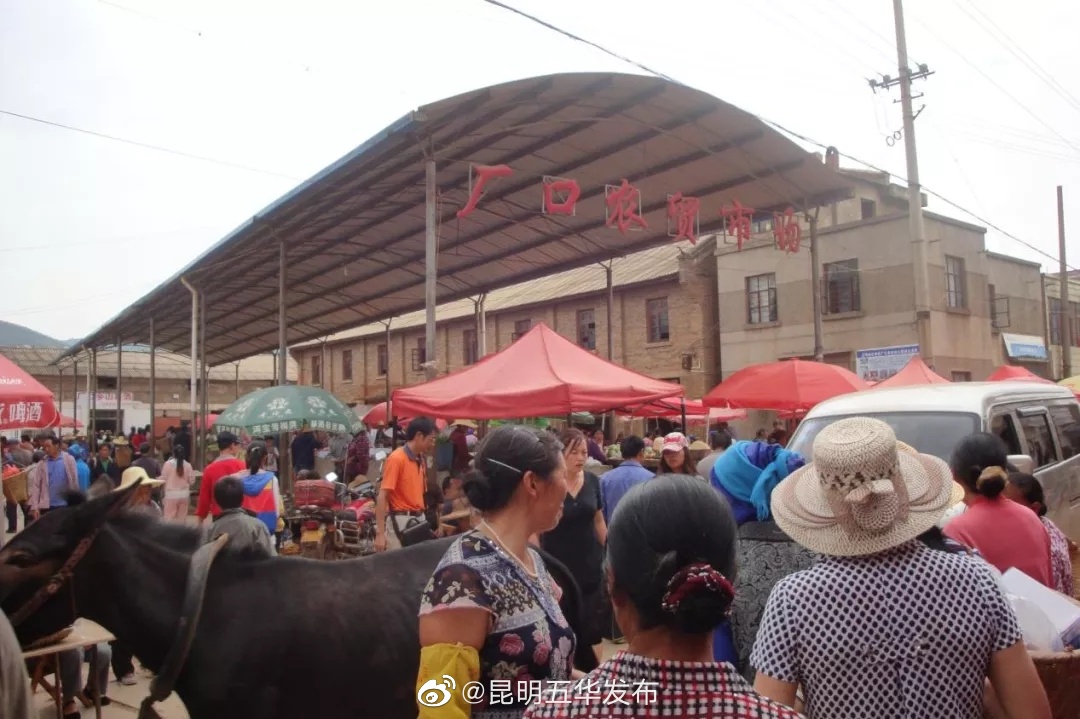 昆明五华发布