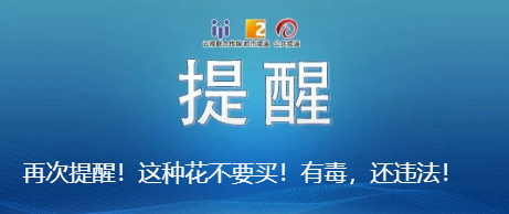爱上富民