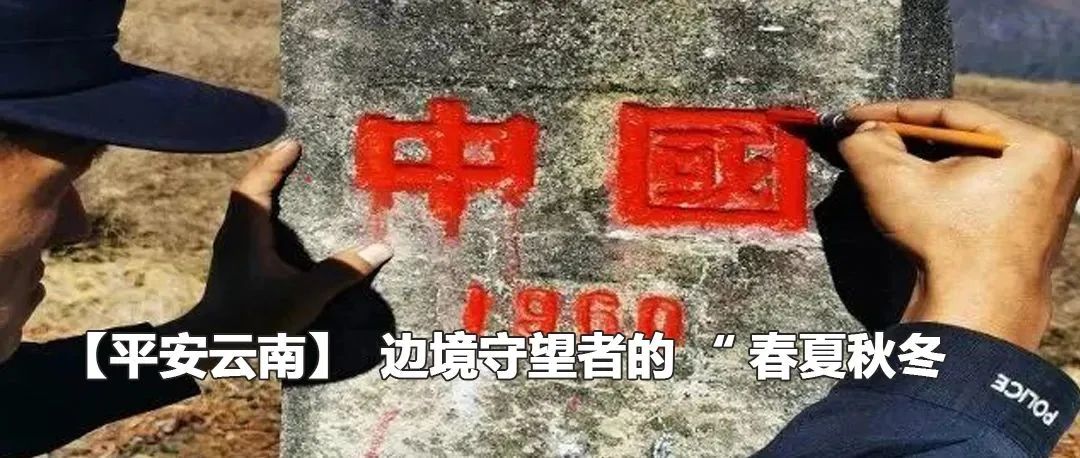 云南政法