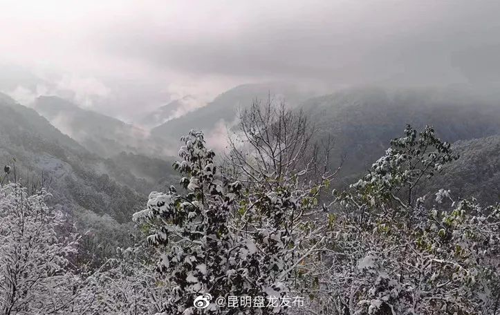 昆明盘龙发布