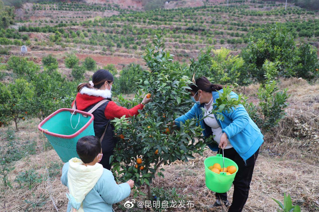 昆明盘龙发布