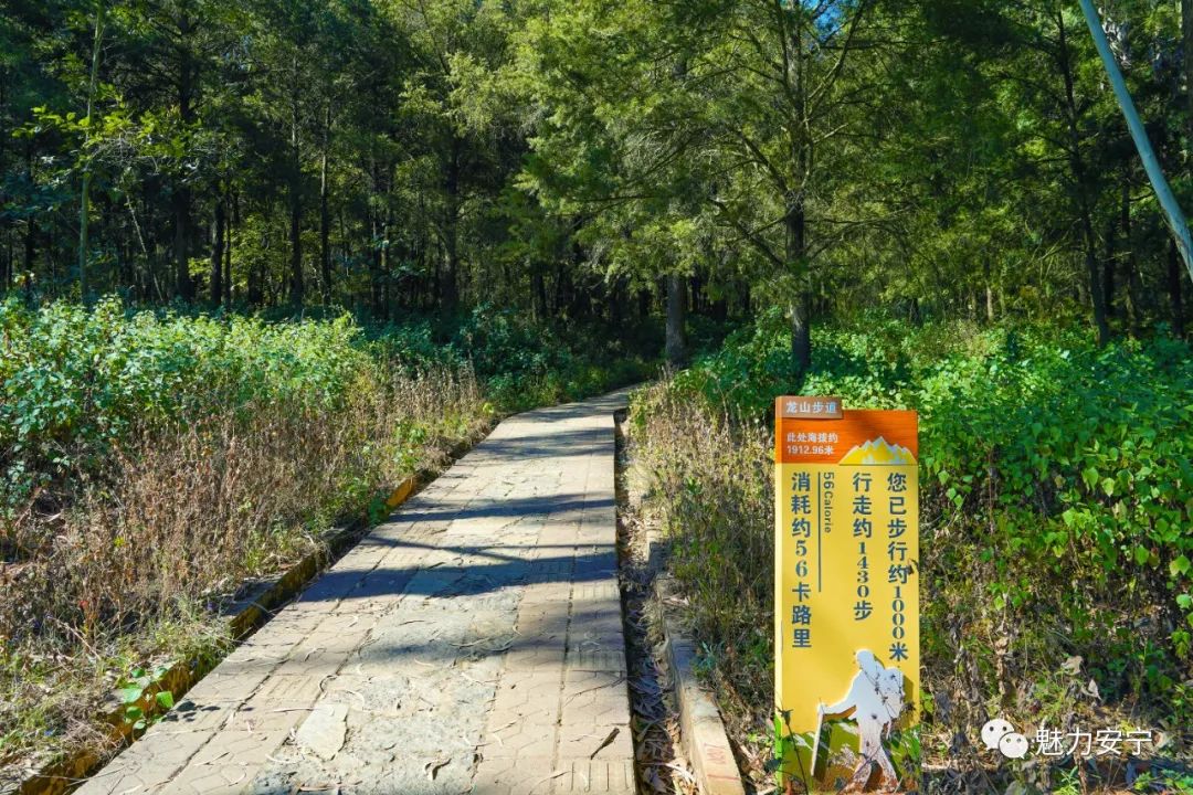 文明昆明
