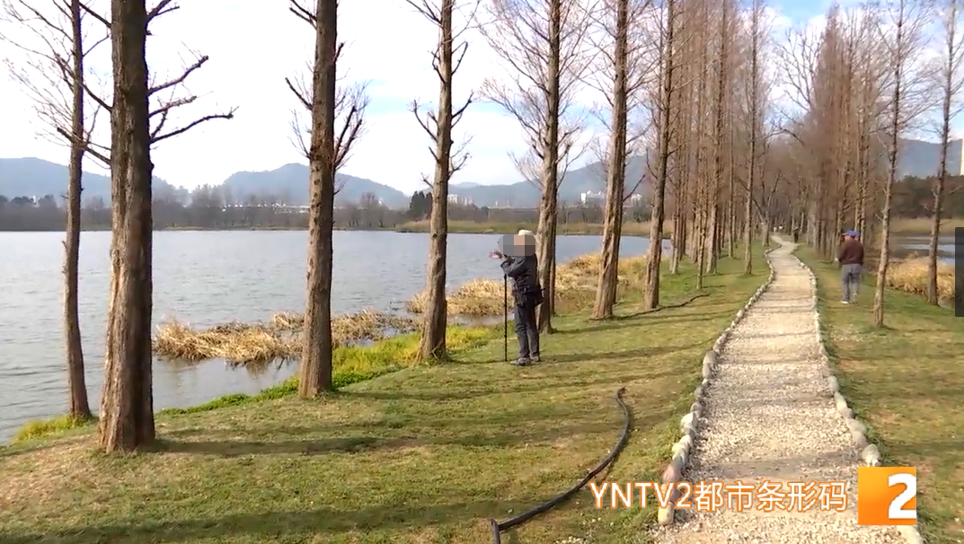 掌上春城