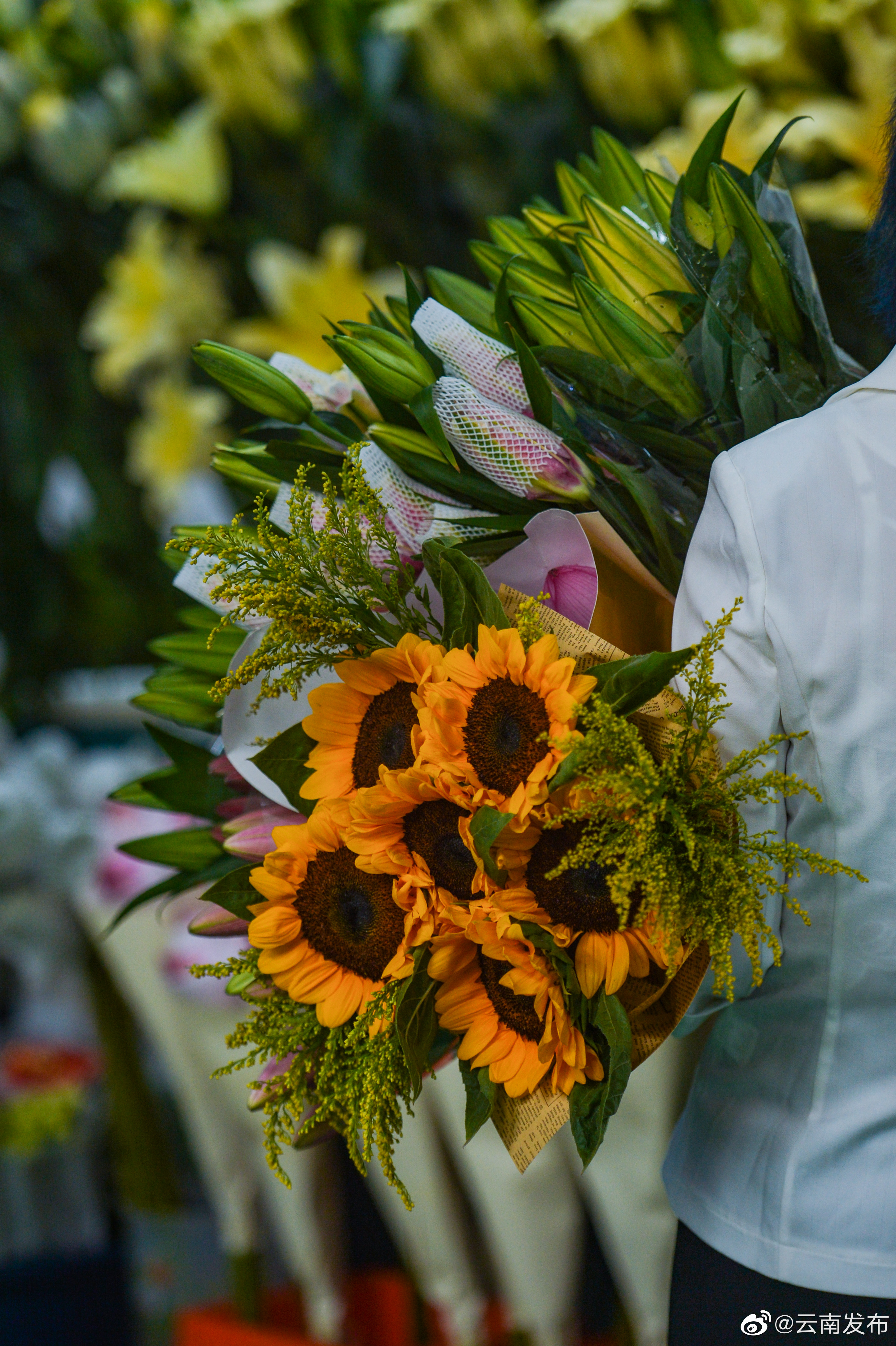 昆明的夜从手捧一束花开始
