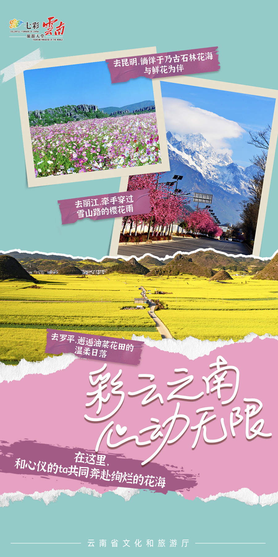新华网云南频道