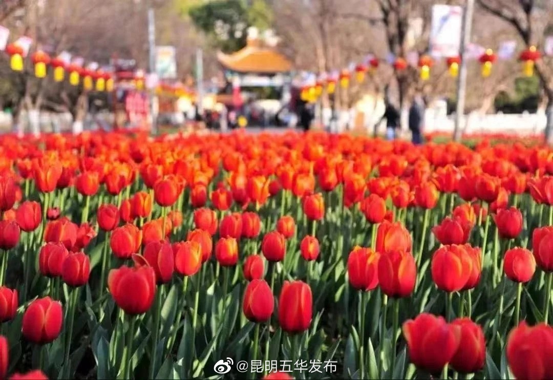 昆明五华发布
