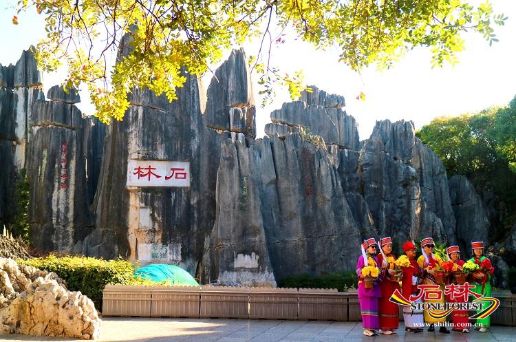 石林旅游网
