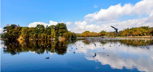 昆明市文化和旅游局