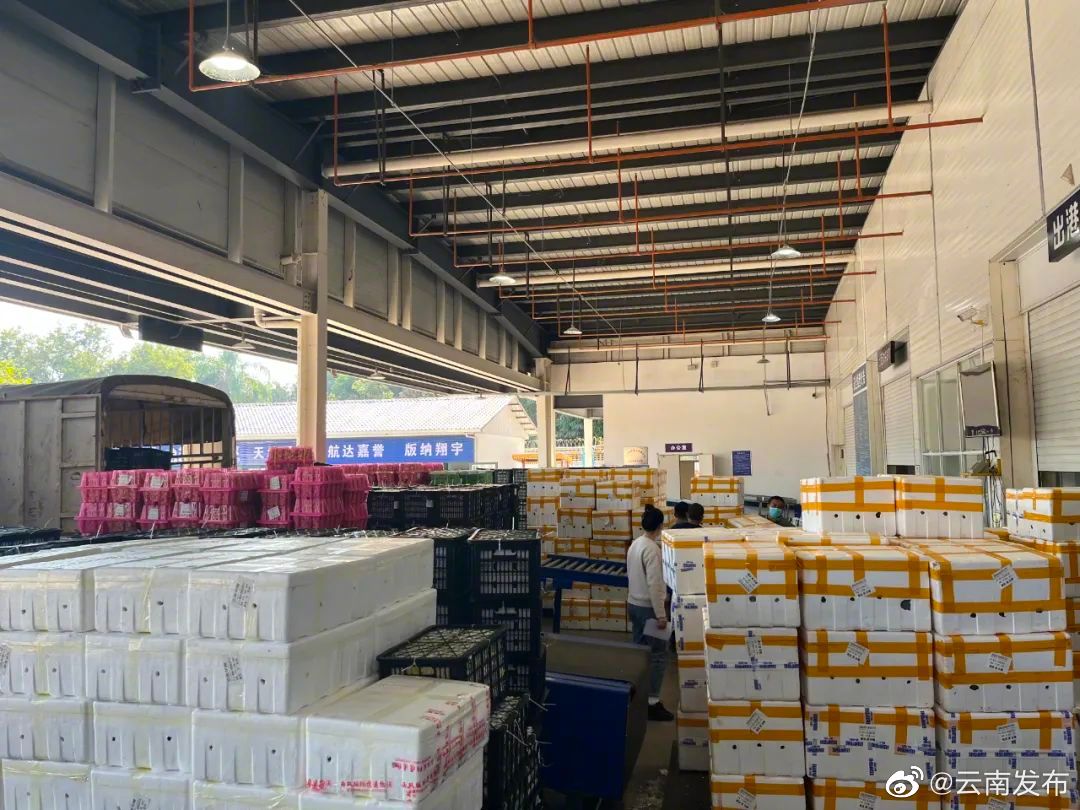 西双版纳机场航空货运实现“开门红”
