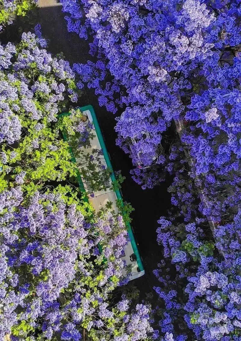 昆明生态环境