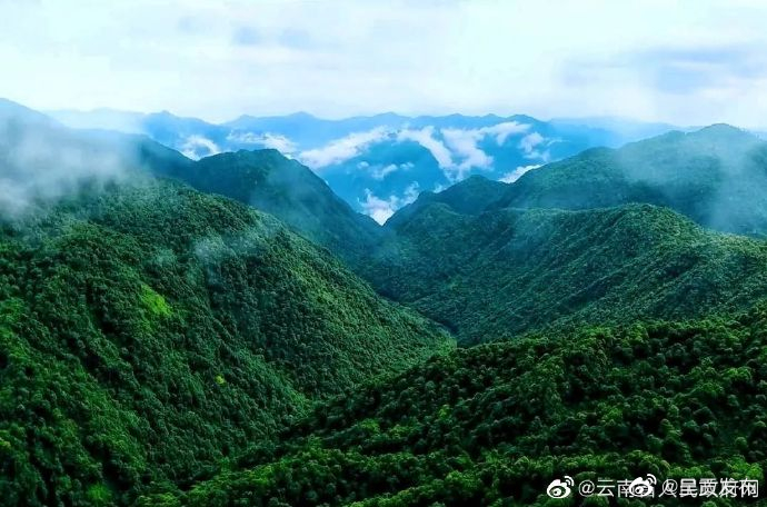 云南获2022年林业草原生态保护恢复资金预算63986万元