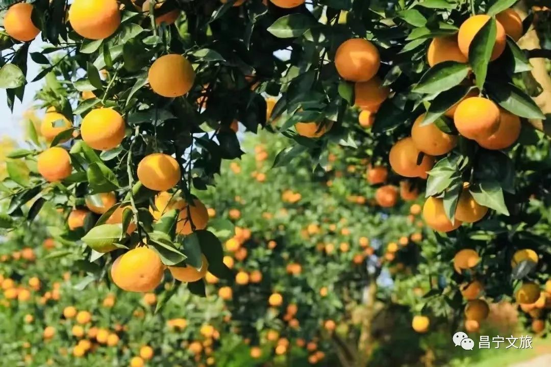 保山广播电视台