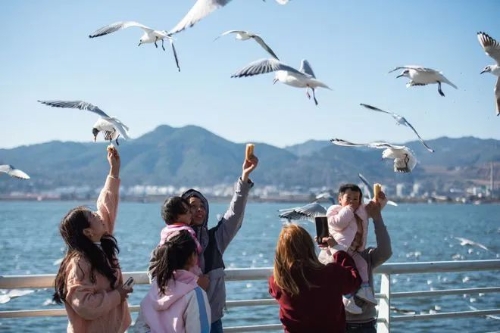 昆明市文化和旅游局