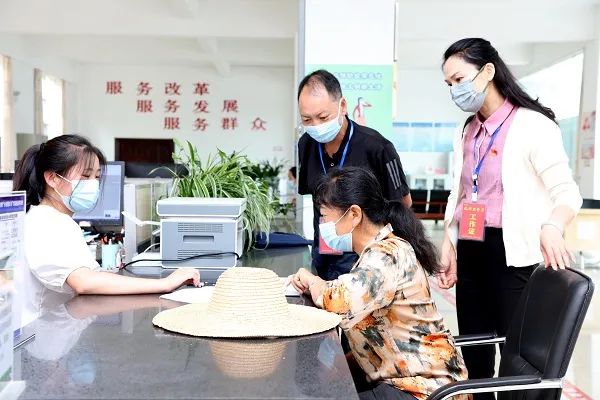 清风楚雄