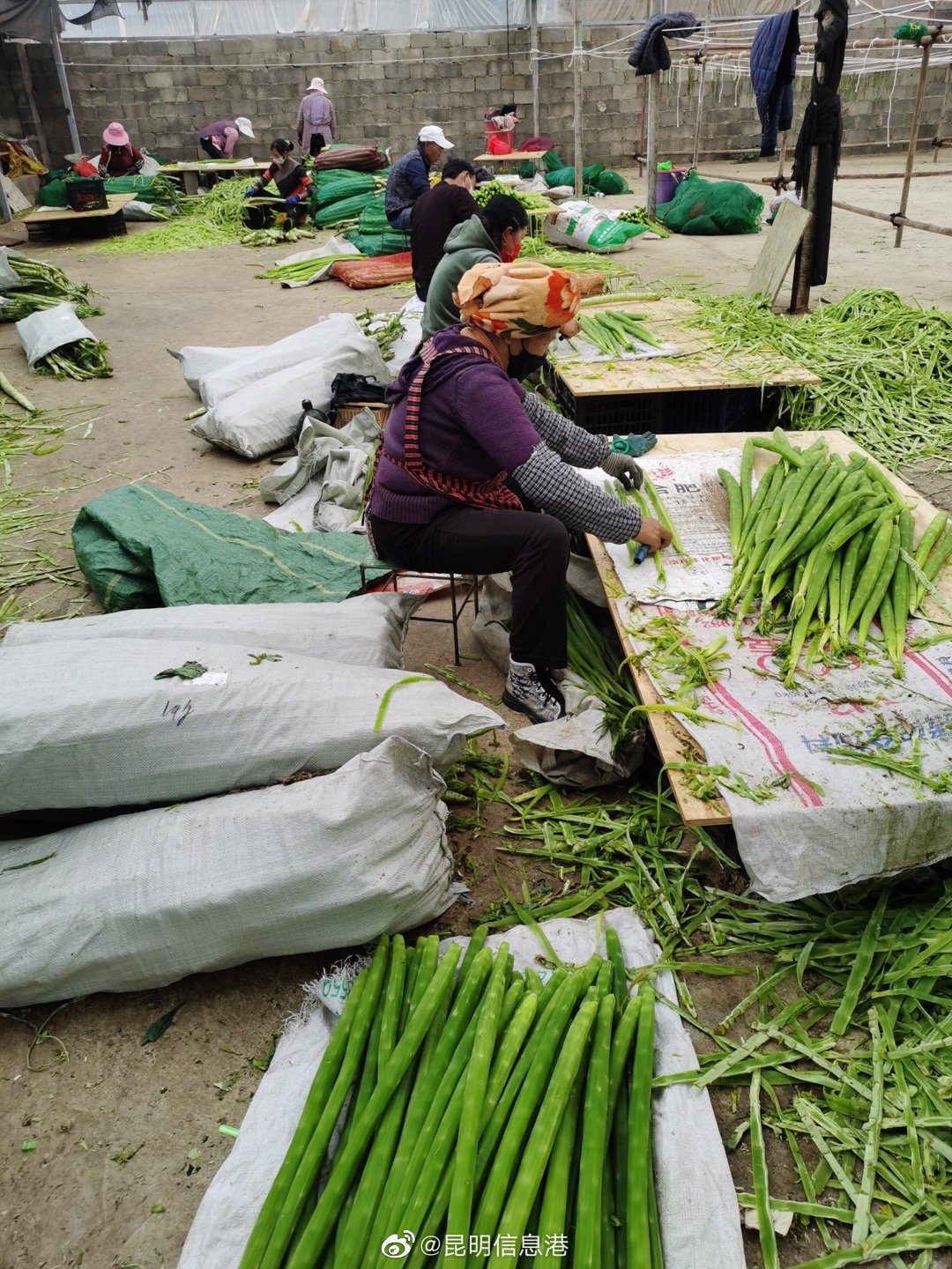 昆明信息港（微博）
