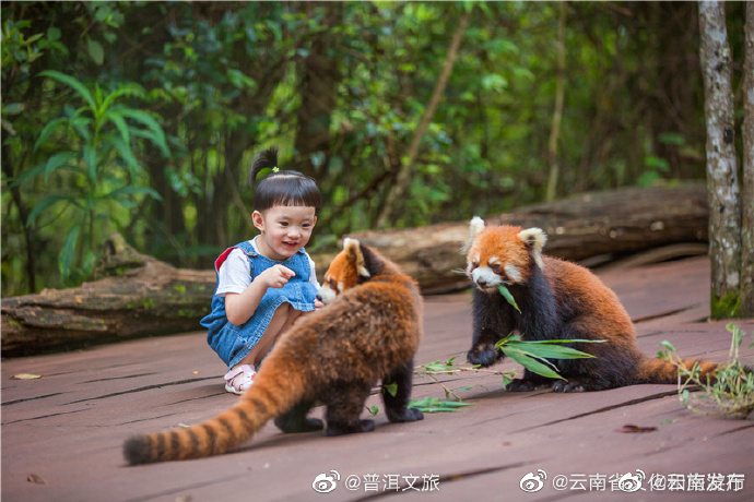 “云南发布”微博