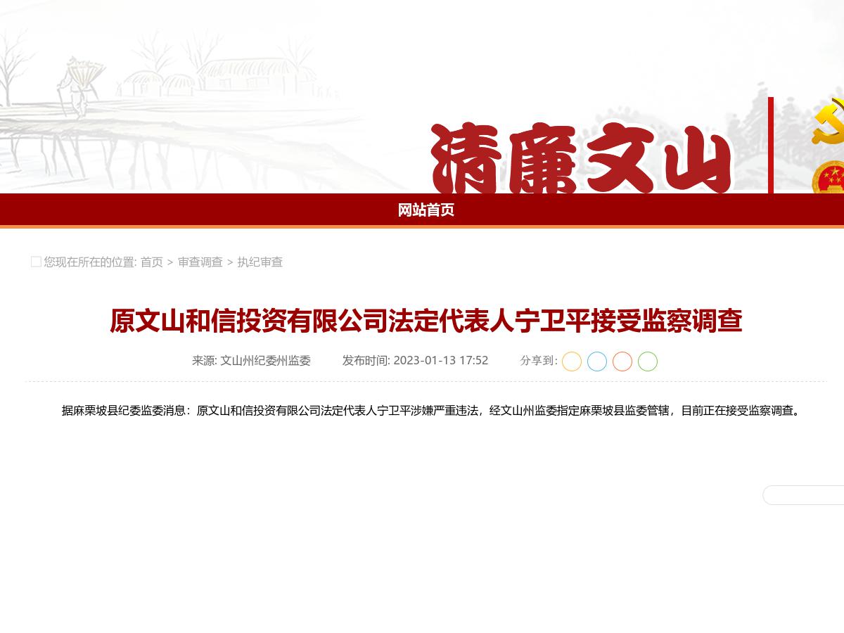 原文山和信投资有限公司法定代表人宁卫平接受监察调查