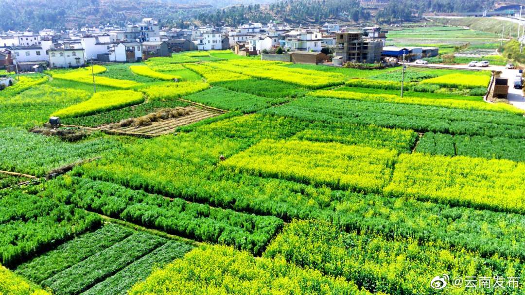 “云南发布”微博