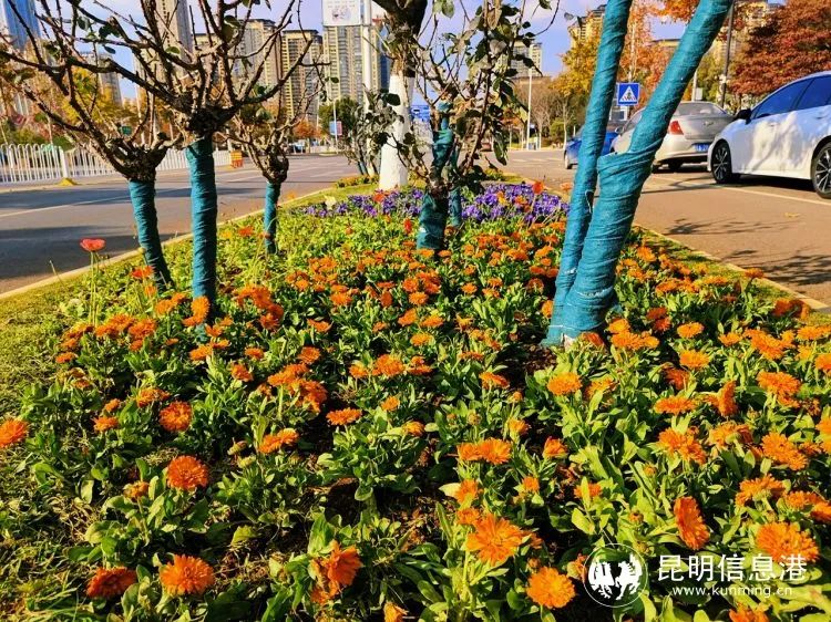 呈贡发布