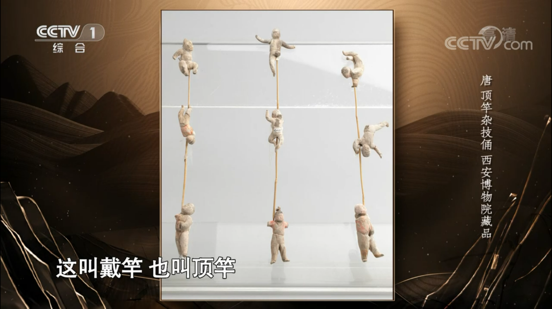美丽云南微科普