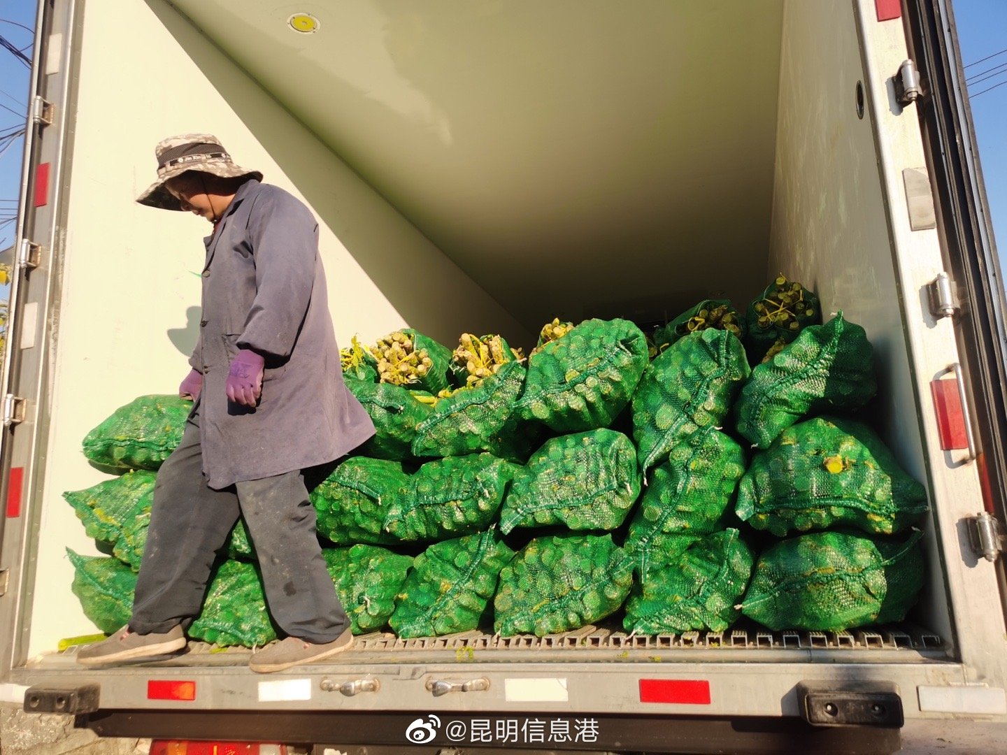 昆明信息港（微博）