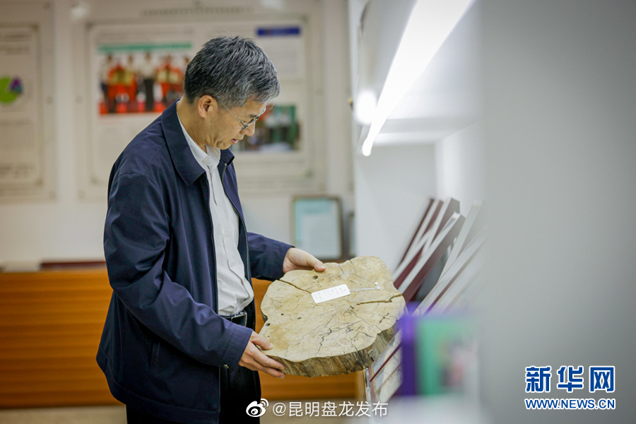 微纪录·云南故事 潜心科研路 漫漫亦灿灿