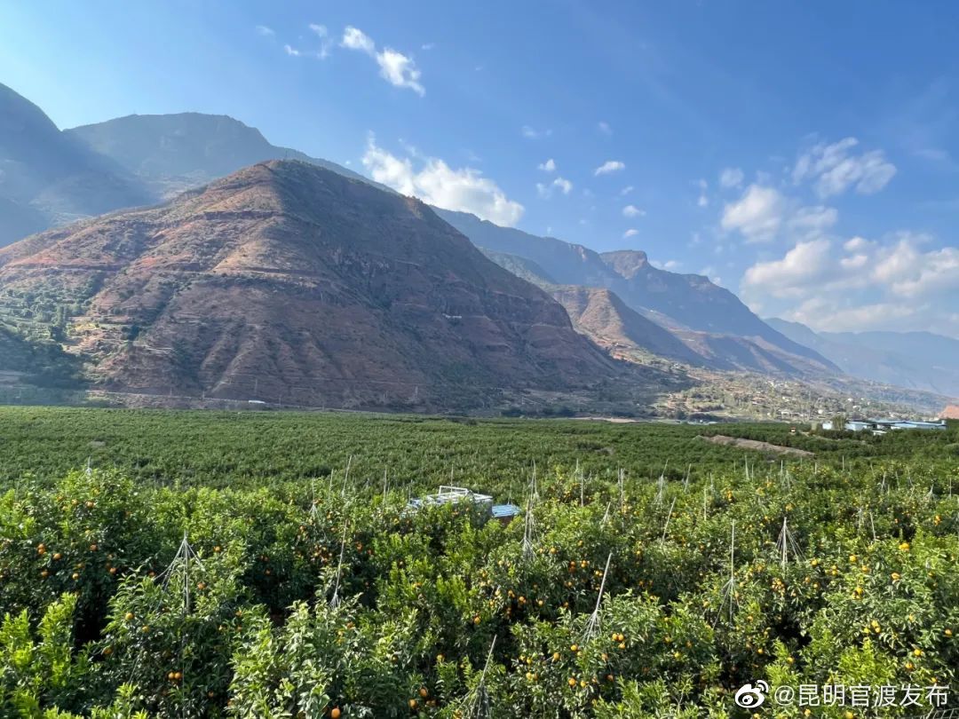 “昆明官渡发布”微博