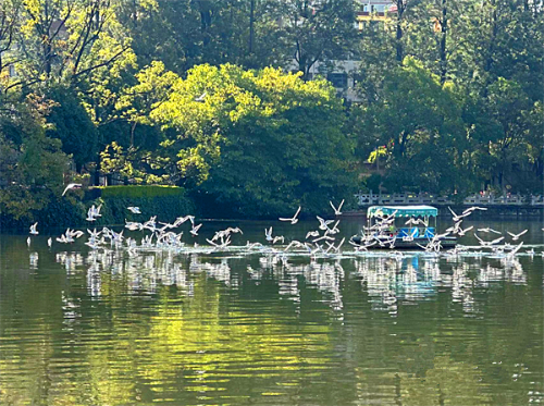 昆明市文化和旅游局