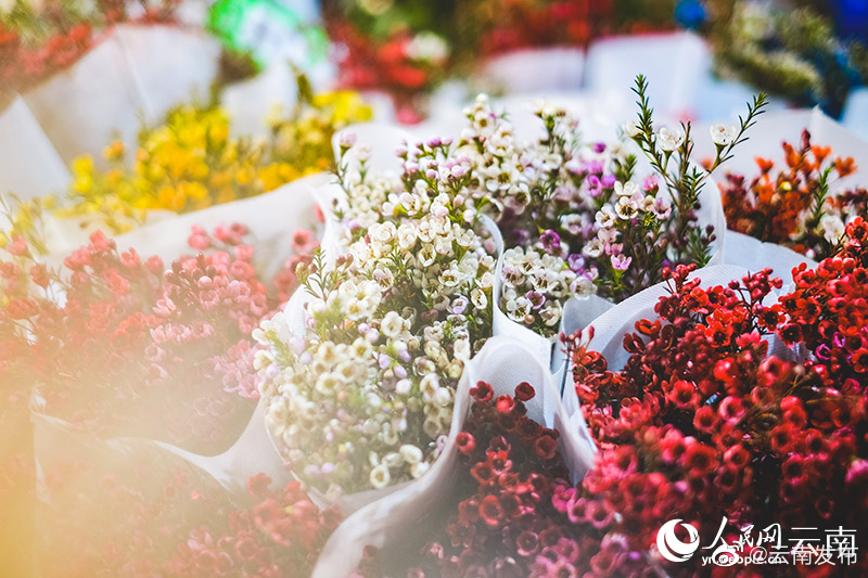 “云南发布”微博