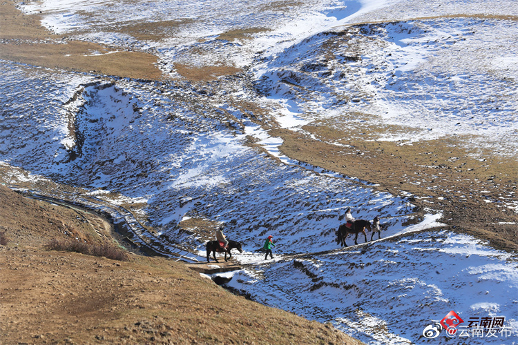 “云南发布”微博