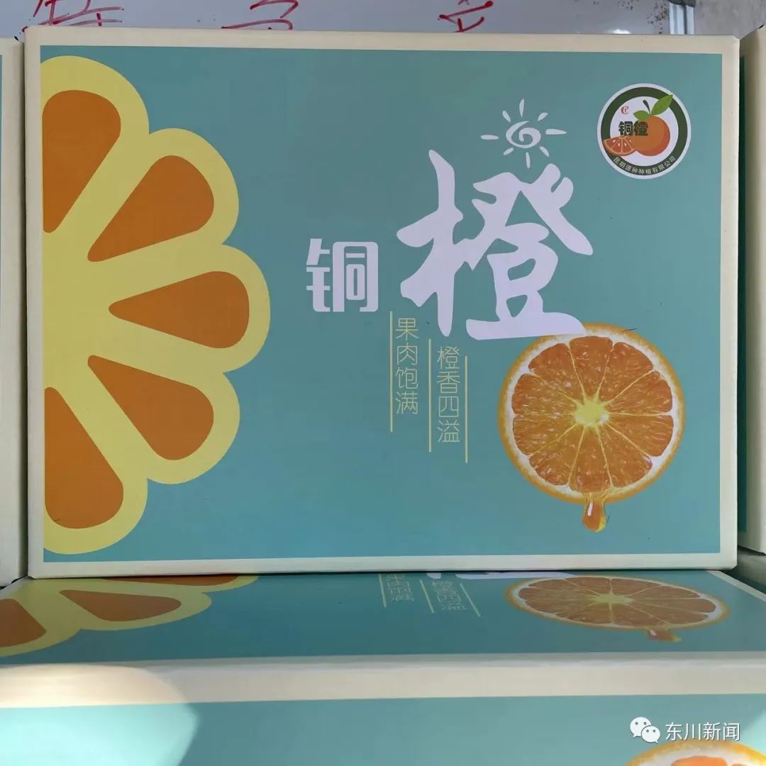 东川新闻