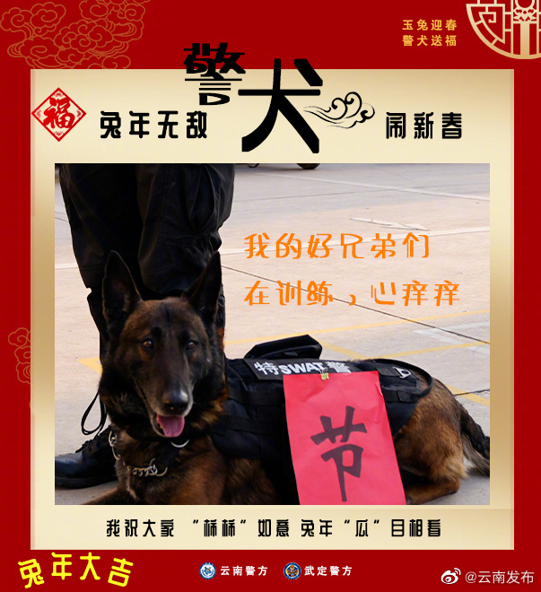 “云南发布”微博