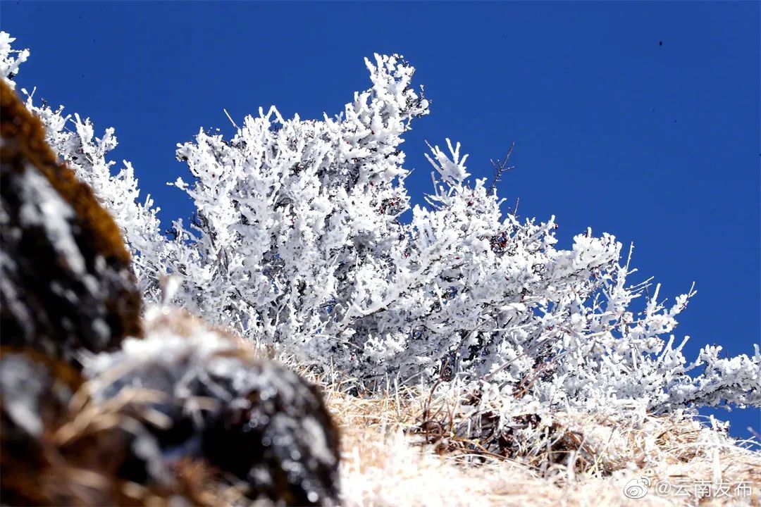 “云南发布”微博