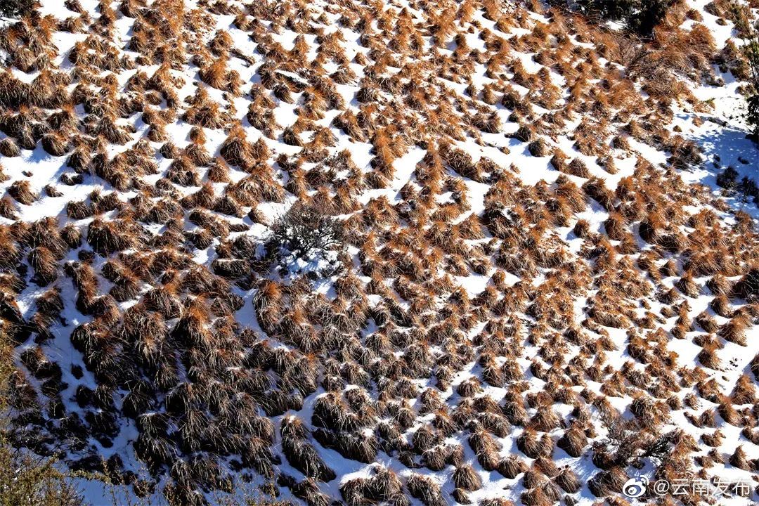 “云南发布”微博