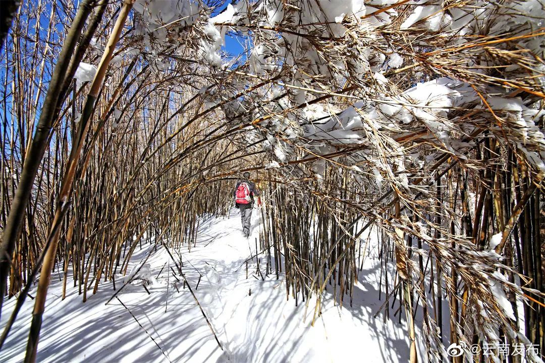 “云南发布”微博