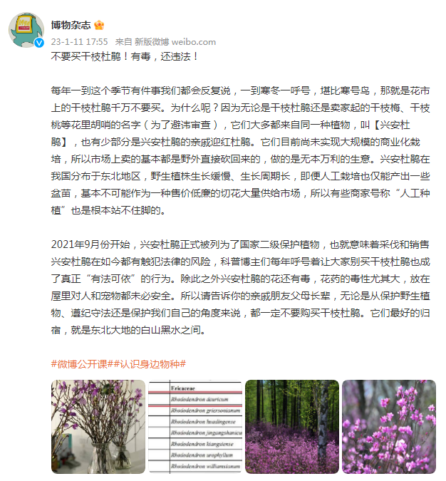 918云南交通台(微信)
