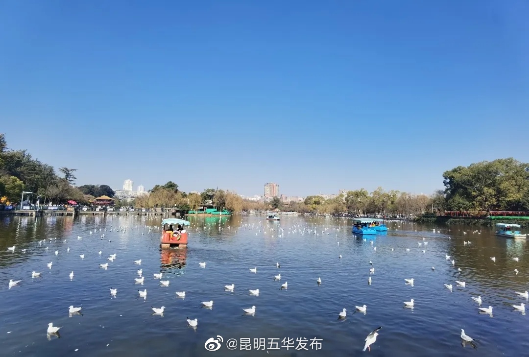 昆明五华发布