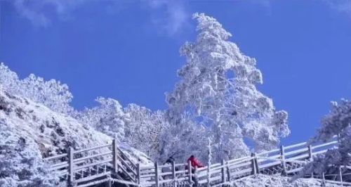 昆明市文化和旅游局