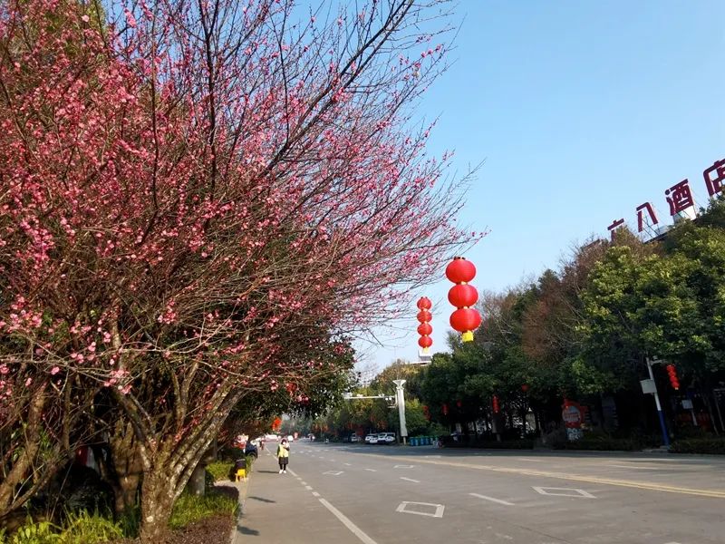 保山新闻网
