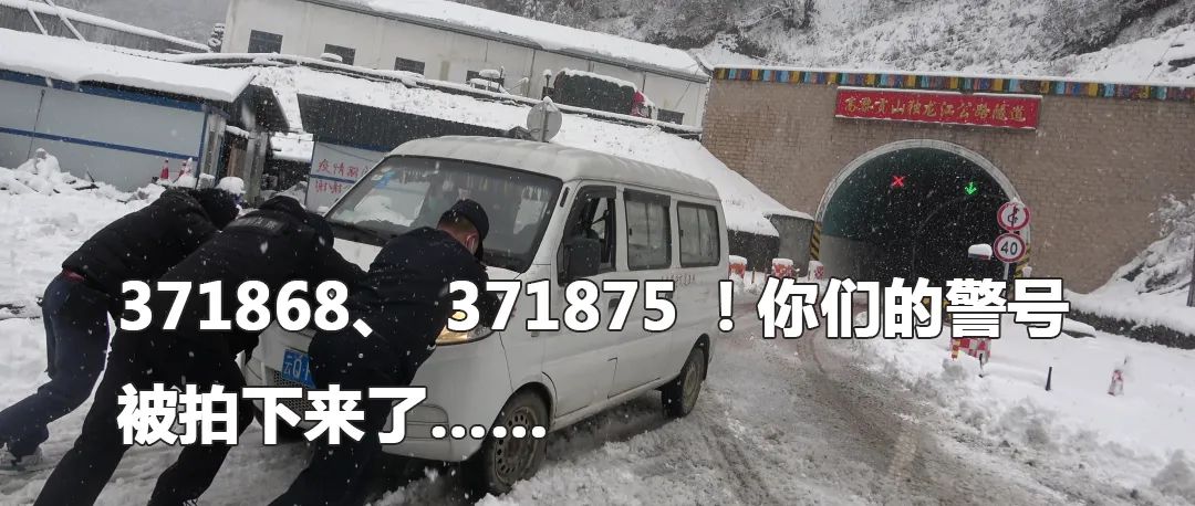 云南政法