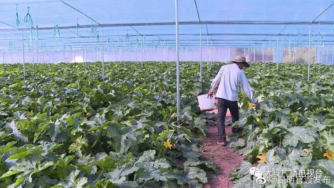 “昆明官渡发布”微博