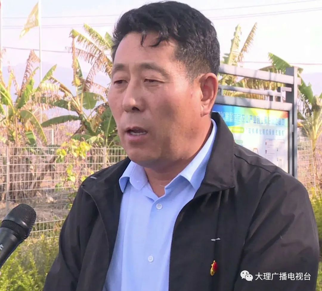大理电视台